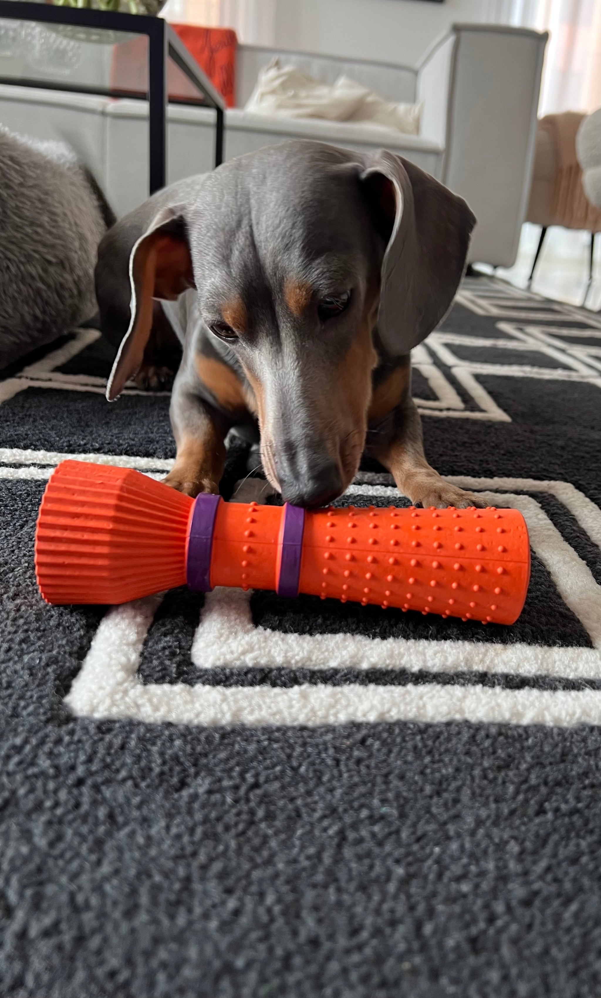 Furmey Zoomies – Micky's Favorites - Main Image